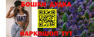 гидра Кинель