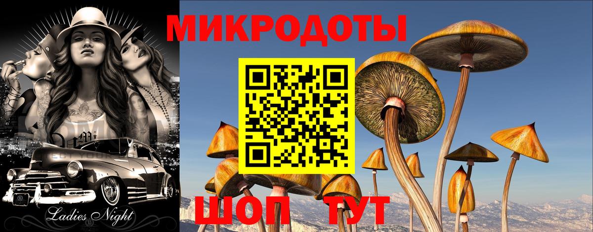 Галлюциногенные грибы мицелий Курчалой