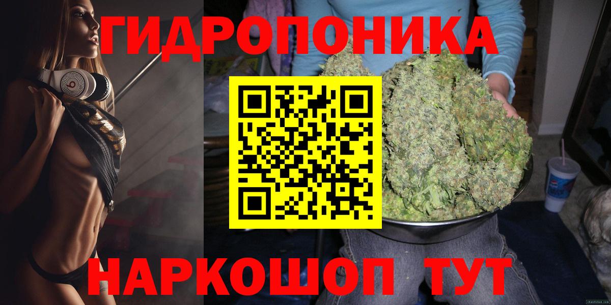 Канабис ГИДРОПОН  Каннабис гибрид  Вход с VPN  Курчалой  МАРИХУАНА Bruce Banner 